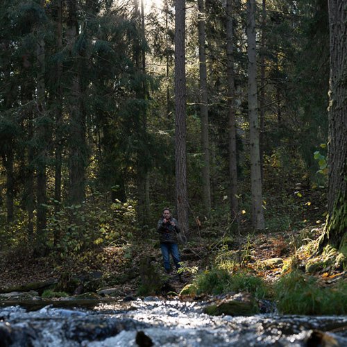 Saidės pažintinis takas 1
