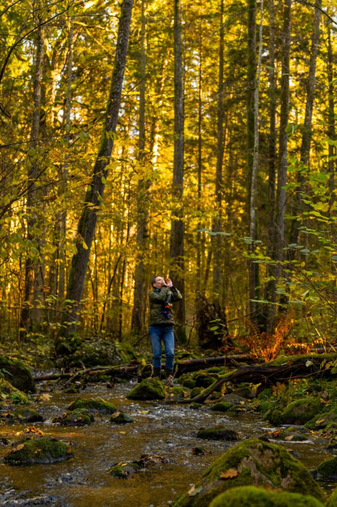 Efektyvus būdas grįžti į vidinę pusiausvyrą